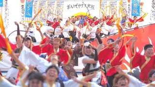 image-240df.jpg
